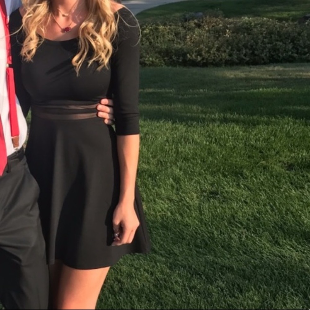 Lulus mesh skater dress